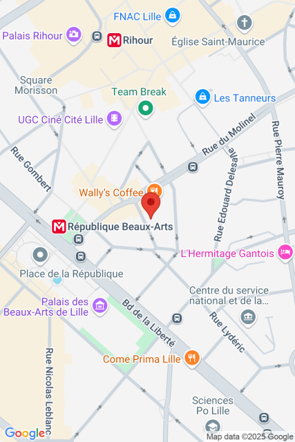 Carte Google Maps affichant la position de la structure