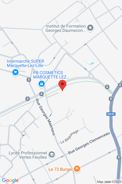 Carte Google Maps affichant la position de la structure