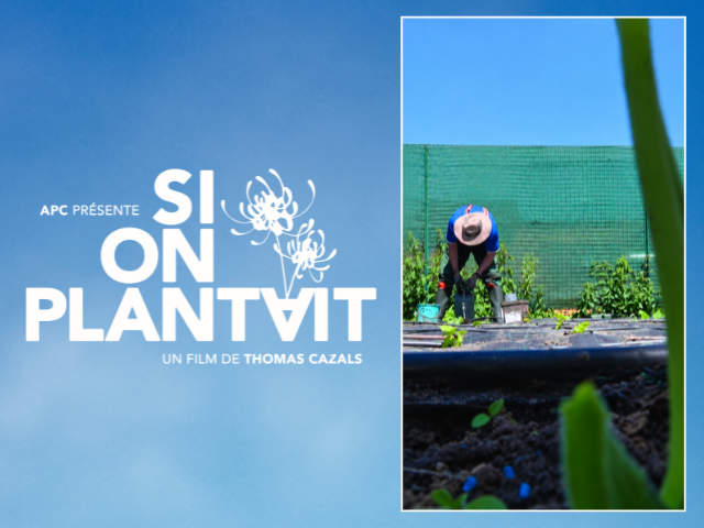 si on plantait